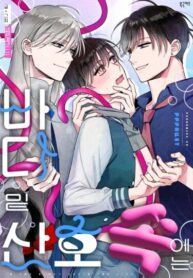 Cover 100356