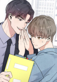 Cover 103169