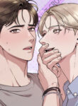 Cover 104141