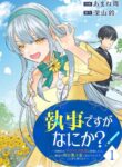 Cover 104521