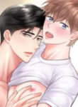 Cover 105166