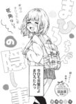 Cover 105266
