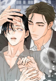 Cover 105653