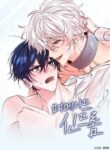 Cover 106091