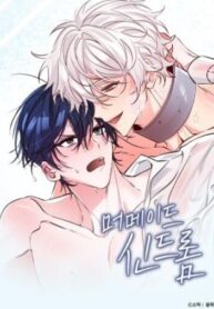 Cover 106091