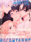 Cover 106095
