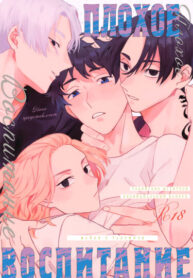 Cover 106095