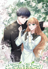 Cover 106221
