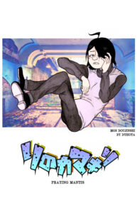 Cover 106261