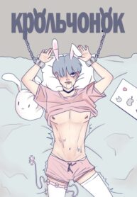 Cover 106330