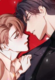 Cover 106386