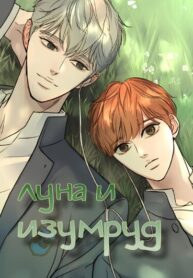 Cover 106420