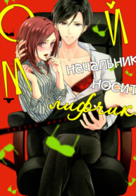Cover 20539
