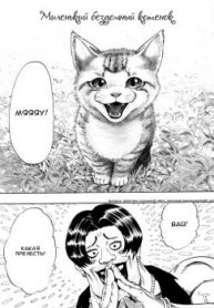 Cover 22312