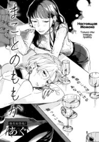 Cover 22533