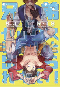 Cover 23032