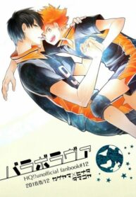 Cover 23956