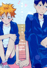 Cover 24004