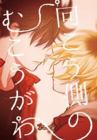 Cover 24108