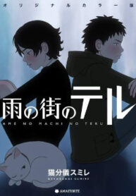 Cover 24144