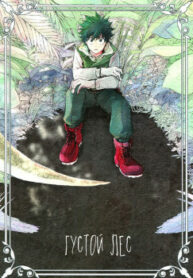 Cover 24210
