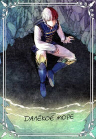 Cover 24272