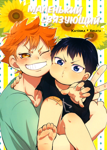 Cover 24302