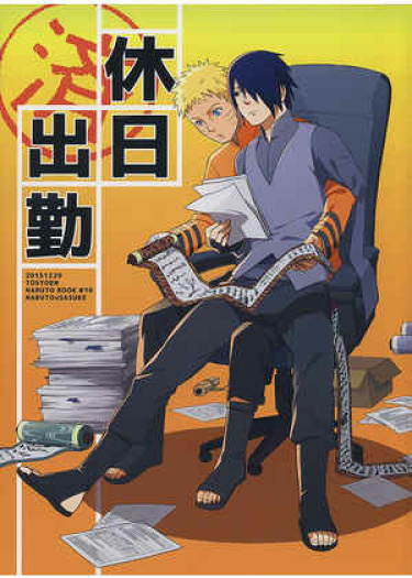 Cover 24330