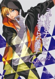 Cover 24490