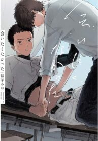 Cover 24702