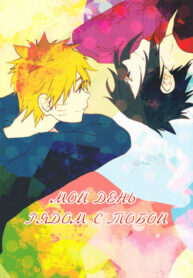Cover 24726