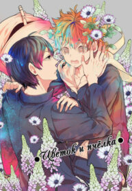 Cover 24732