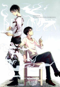 Cover 25100