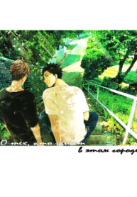 Cover 25146