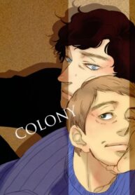Cover 25304