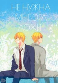 Cover 25411