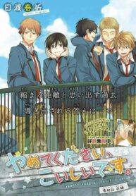 Cover 25515