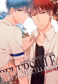 Cover 25693