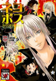 Cover 26031