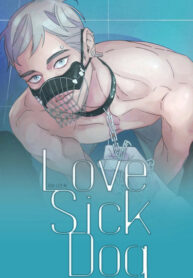 Cover 26580