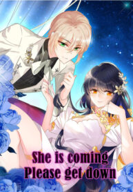 Cover 26681