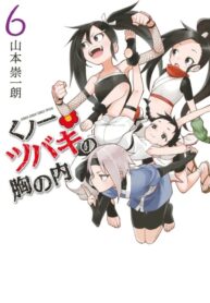Cover 26686