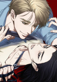 Cover 26846