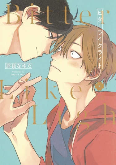 Cover 27154