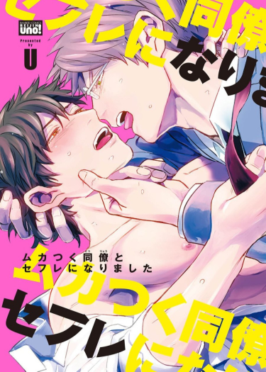 Cover 27160
