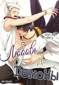 Cover 27252