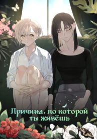 Cover 29300