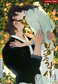 Cover 29338
