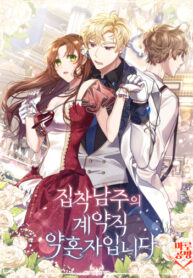 Cover 29511