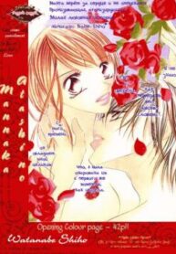 Cover 30639